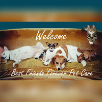 Local Business Best Friends Forever Pet Care in San Diego CA