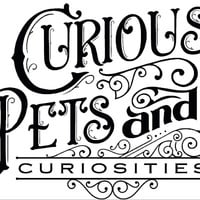 Curious Pets and Curiosities, Inc