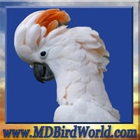 Local Business M&D Bird World Exotic Birds in Harbeson DE