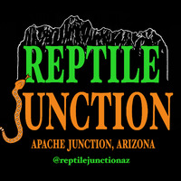 Reptile Junction