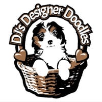 Local Business Djs designer doodles ( Mini Bernedoodles) in Freedom IN