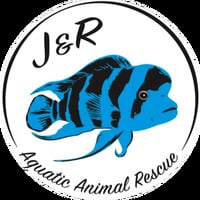 J&R Aquatic Animal Rescue