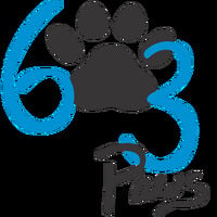 603 Paws LLC