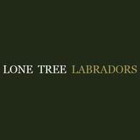 Local Business Lone Tree Labradors in Pierce NE