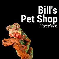 Bill's Pet Shop