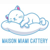 Maison Miami Cattery. Persian & British Cats & Kittens Breeder.