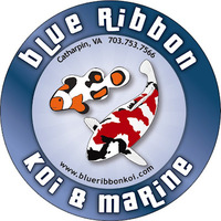 Local Business Blue Ribbon Koi & Marine in Catharpin VA