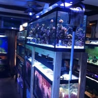 Local Business TnT Saltwater Aquariums in Raeford NC