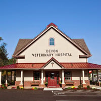 Devon Veterinary Hospital