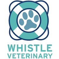 Local Business Whistle Veterinary Clinic in Anacortes WA