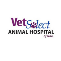 Local Business VetSelect Animal Hospital of Novi in Novi MI