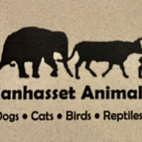 Local Business Manhasset Animal Hospital in Manhasset NY