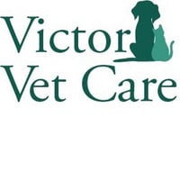 Local Business Victor Vet Care in Victor NY