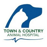 Local Business Town & Country Animal Hospital in Fairfax VA