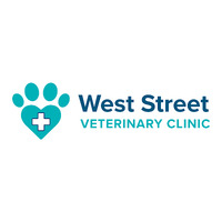 Local Business West Street Veterinary Clinic in Medfield MA