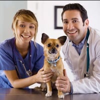 SpayXperts PLUS, Affordable Vet Care