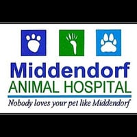 Local Business Middendorf Animal Hospital & Laser Centre in Florence KY