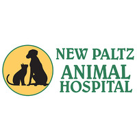 New Paltz Animal Hospital