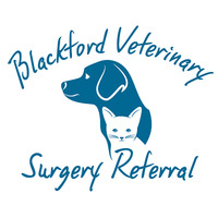 Blackford Vet Surgery Referral