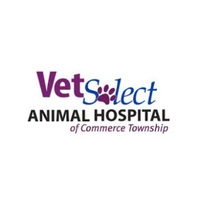 VetSelect Animal Hospital of Commerce Township