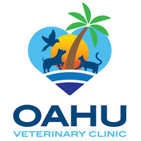 Local Business Oahu Veterinary Clinic in Honolulu HI