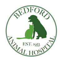 Bedford Animal Hospital