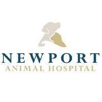 Local Business Newport Animal Hospital in Middletown RI