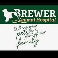 Local Business Brewer Animal Hospital in Springfield IL