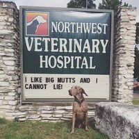 Northwest Veterinary Hospital