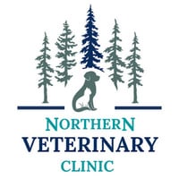 Local Business Northern Veterinary Clinic in Bemidji MN