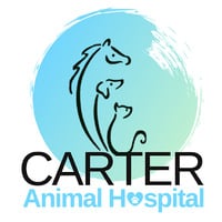 Local Business Carter Animal Hospital in Cathedral City CA