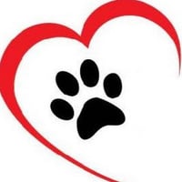 Local Business Loving Paws Pet Clinic in Savoy IL