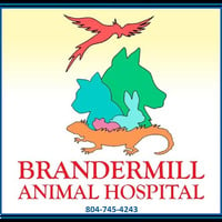 Local Business Brandermill Animal Hospital in Midlothian VA