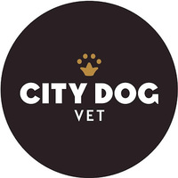 City Dog Vet