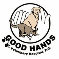 Good Hands Veterinary Hospital