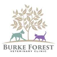 Burke Forest Veterinary Clinic