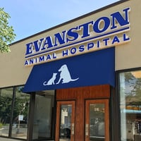 Evanston Animal Hospital