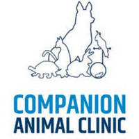 Local Business Companion Animal Clinic in Blacksburg VA