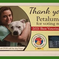 Local Business Petaluma Veterinary Hospital in Petaluma CA