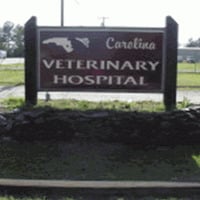 Local Business Carolina Veterinary Hospital of Sanford, PC in Sanford NC