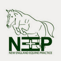 New England Equine Practice