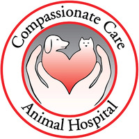 Local Business Compassionate Care Animal Hospital in Ann Arbor MI