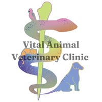 Local Business Vital Animal Veterinary Clinic in Sioux Falls SD