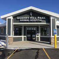 Local Business Quarry Hill Park Animal Hospital in Rochester MN