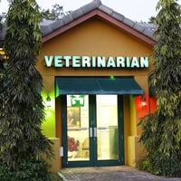 Floresta Animal Hospital