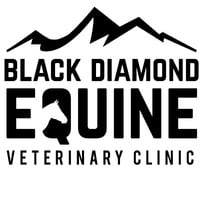 Black Diamond Equine Veterinary Clinic