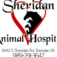 Local Business Sheridan Animal Hospital, Inc. in Sheridan MI