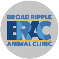 Local Business Broad Ripple Animal Clinic in Indianapolis IN