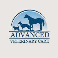 Advanced Veterinary Care