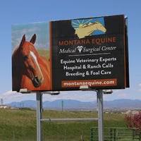 Local Business Montana Equine Medical & Surgical Center in Three Forks MT